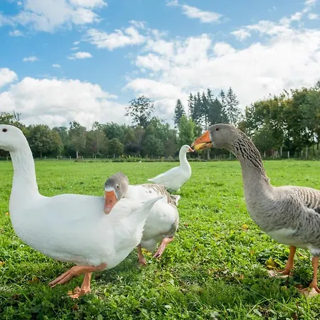 Hofgut Tiergarten 3*