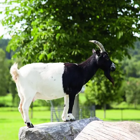 Hofgut Tiergarten 3*