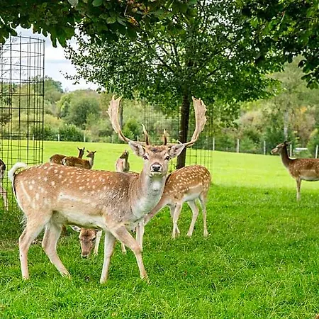Hofgut Tiergarten Hotel 3*