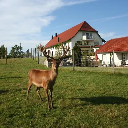 酒店 Hofgut Tiergarten 欧伦道夫