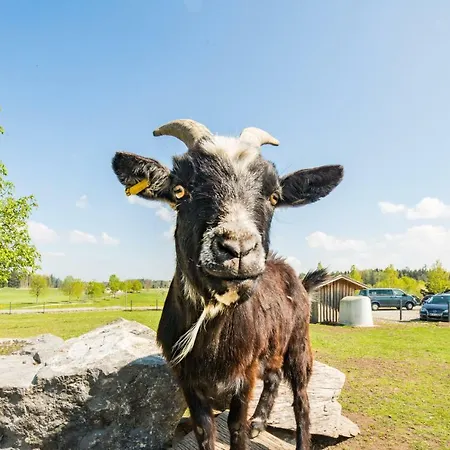 Hofgut Tiergarten Hotel
