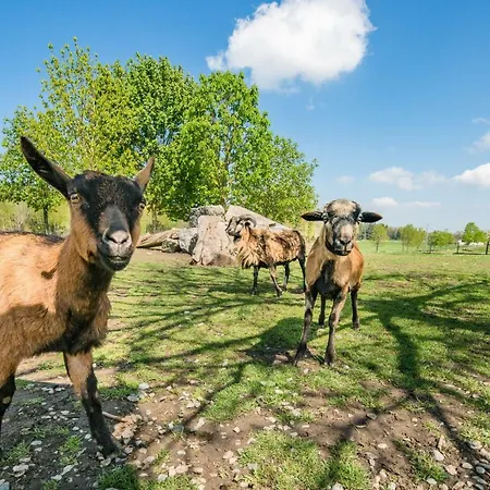 מלון Hofgut Tiergarten 3*