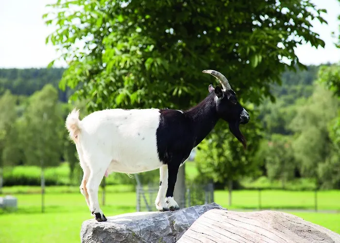 Hofgut Tiergarten 3*