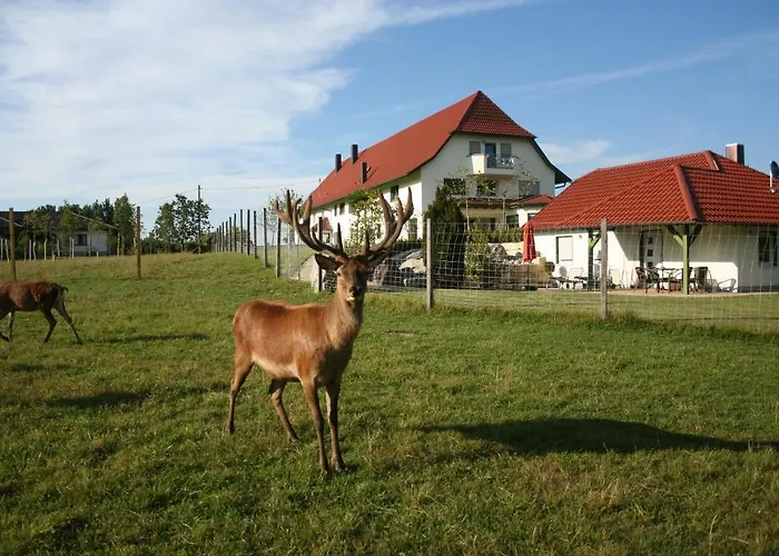ホテル Hofgut Tiergarten アウレンドルフ